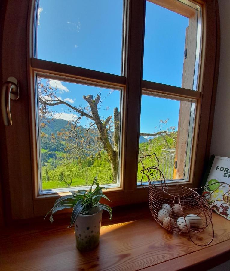 B&B Chalet Dolomiti Sant'Orsola Buitenkant foto