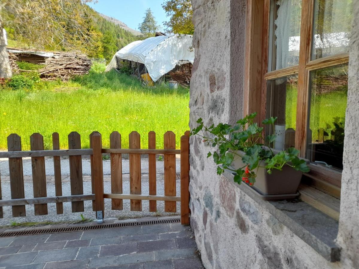 B&B Chalet Dolomiti Sant'Orsola Buitenkant foto