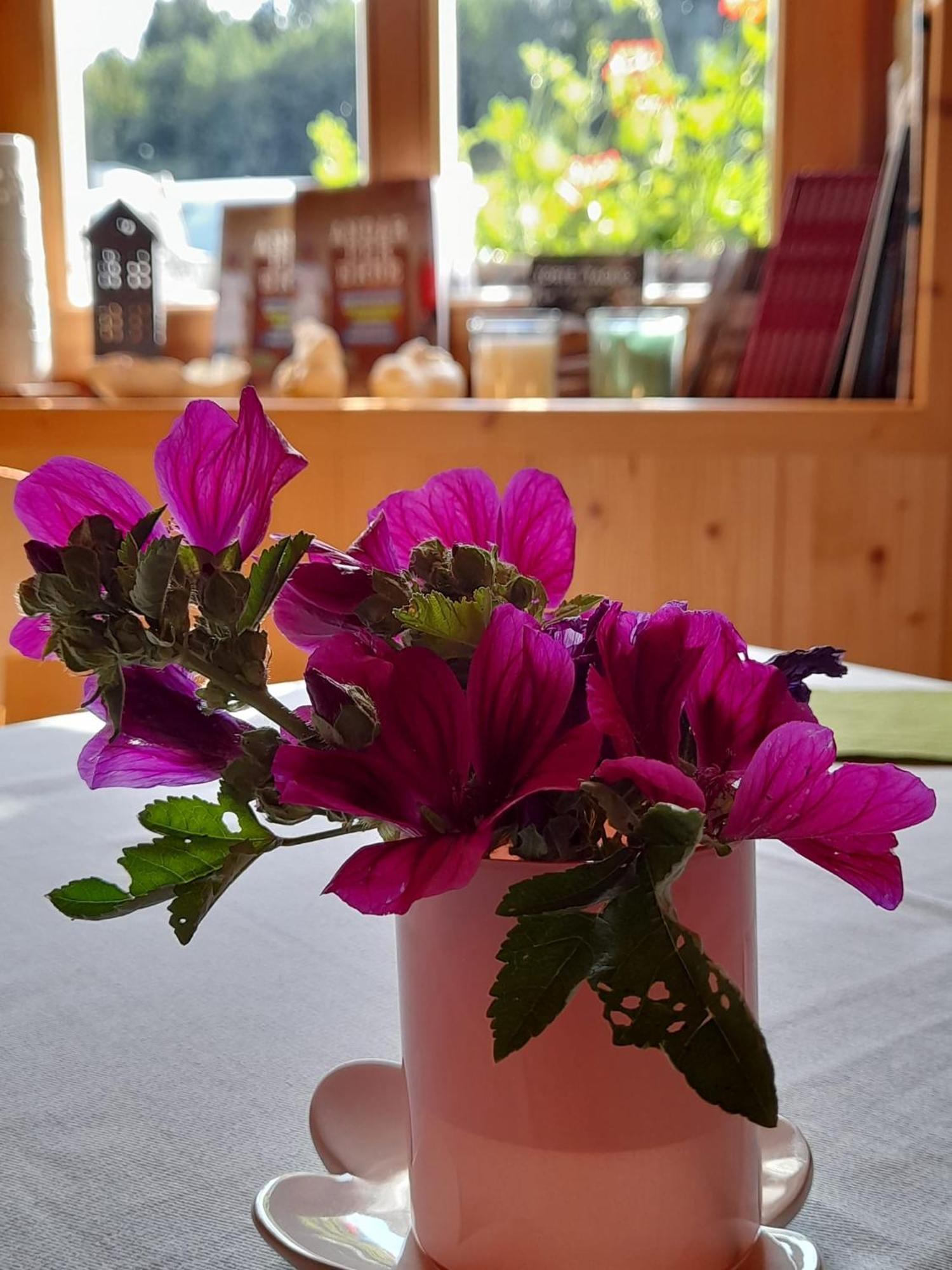 B&B Chalet Dolomiti Sant'Orsola Buitenkant foto